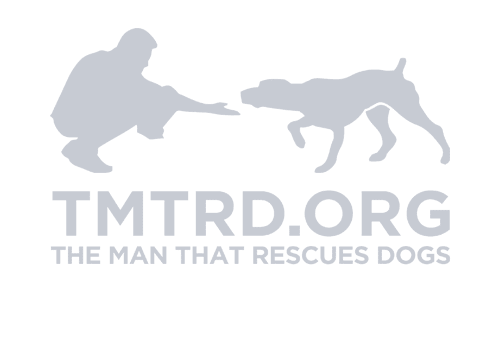 tmtrd